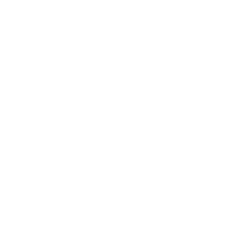 Forge Built AI